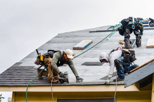 Professional Emergency Roof Repair technician working in Trenton, MI